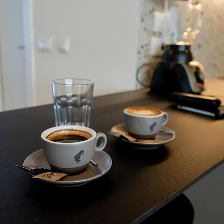 Victor Nest Double Apartment Belgrade